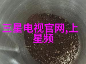 项目进展通报活力前行的数字化征程