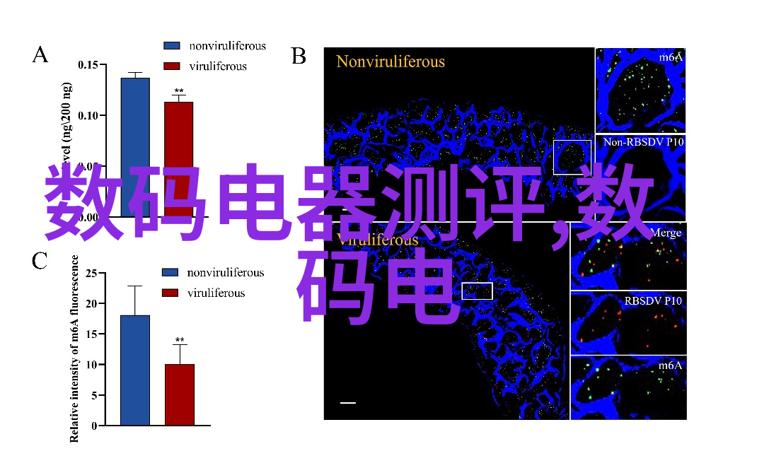 佛龛装修设计 - 和谐空间巧妙融合传统与现代的佛龛装修艺术