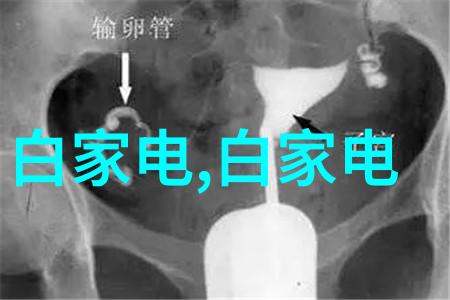 罗丹的雕塑世界探索法国现代艺术之父