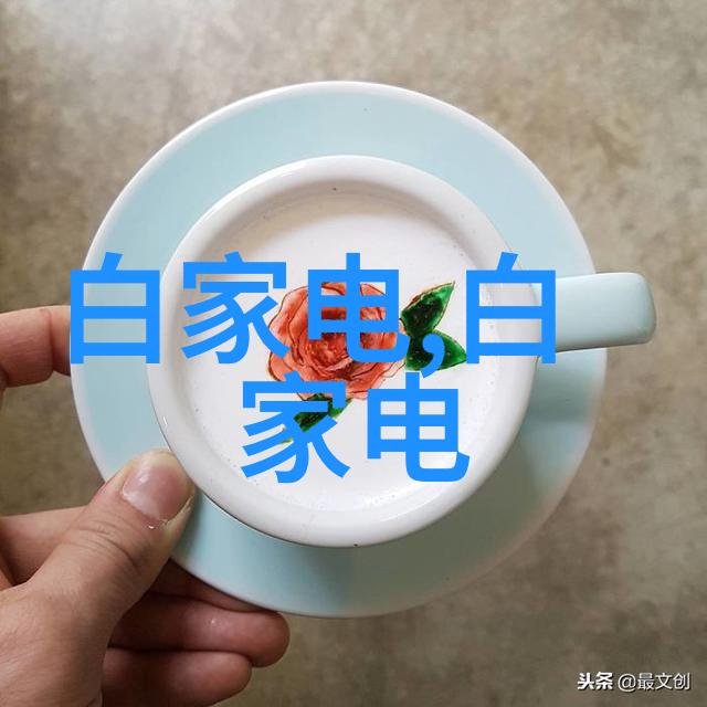 堵漏剂-防水不留缝隙的守护者