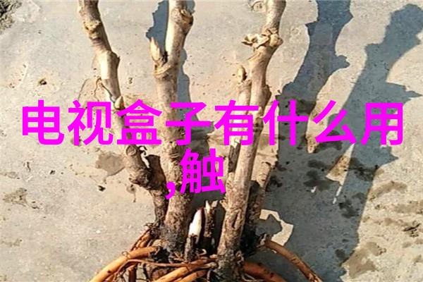 安全性优先防火防盗措施在家庭装饰中的运用