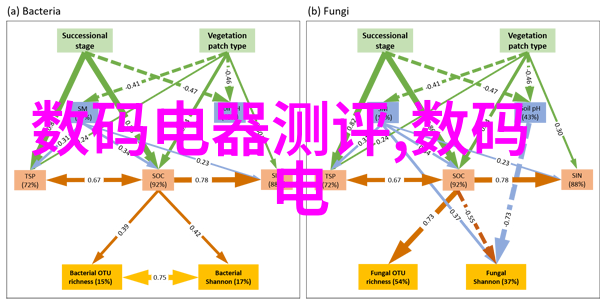 重生之糟糠之妻我的逆袭篇章