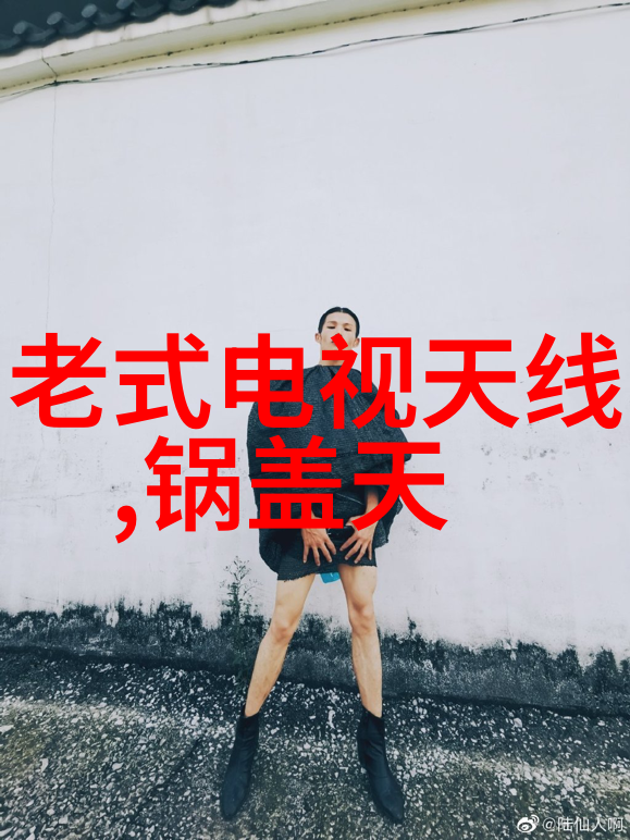 绑匪传奇 - 绳索中的英雄揭秘那些顽固的绑匪