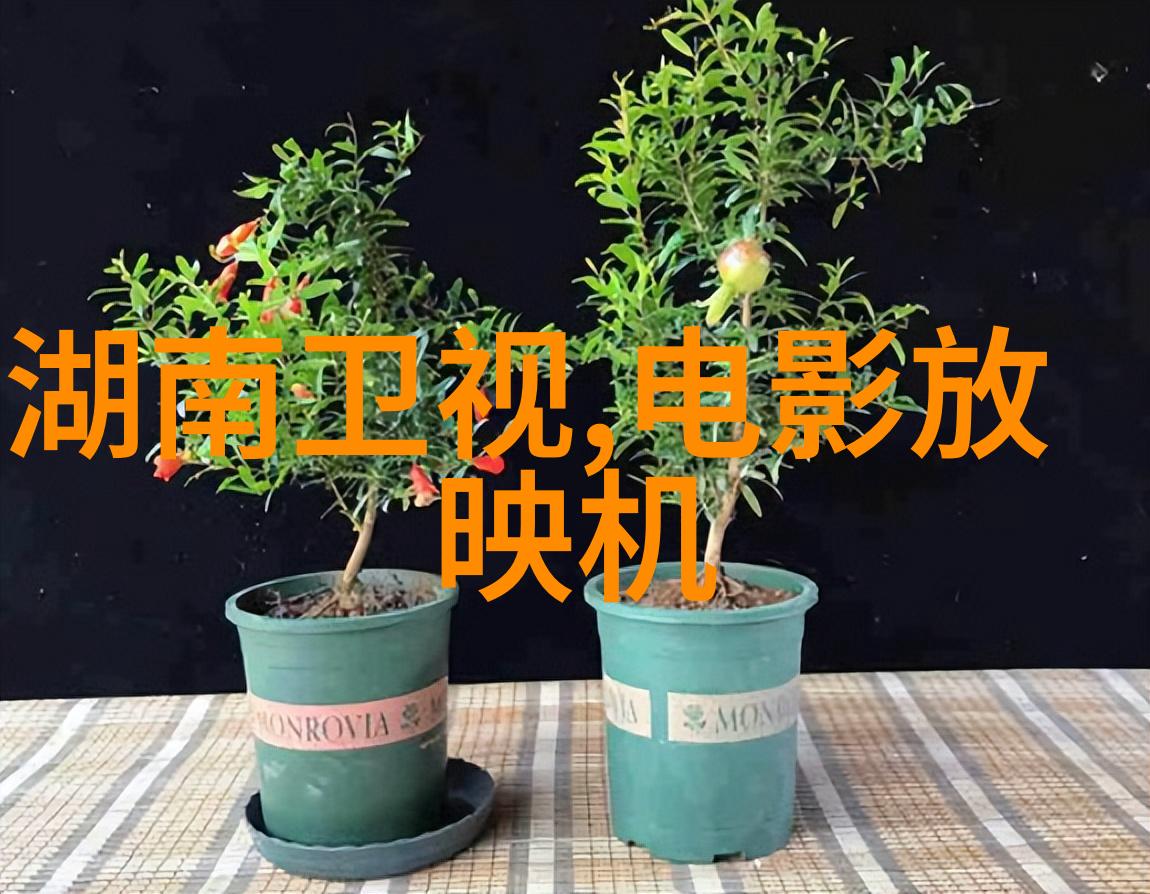 疾速洁净之神揭秘快速消毒灭菌器的双面本质