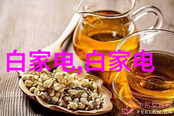 代表爱情的花我和你之间的玫瑰