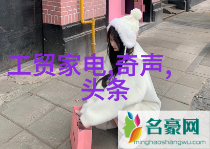 家居美学探索现代简约风格的装修魅力