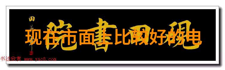 构建坚固保障网确保社会稳定与民生福祉的关键要素