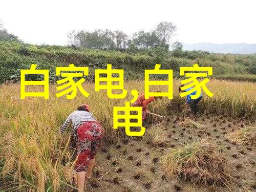 柠檬大嘴巴一部探索生活哲学的现代都市小说