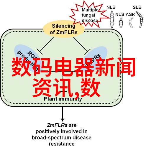 中式家装风格传统中国家居装饰元素的运用