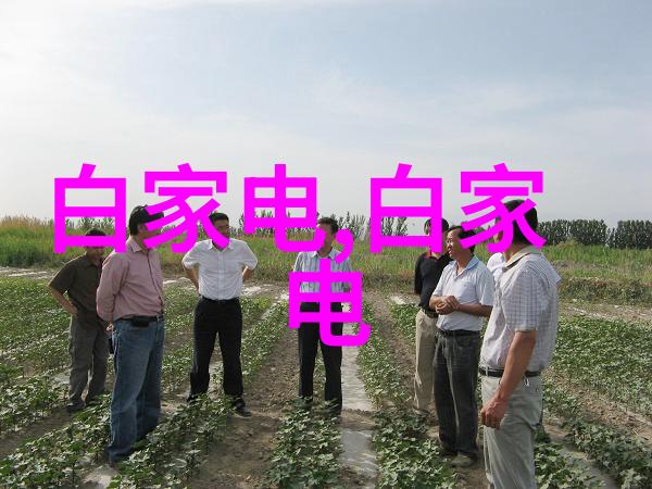 简支梁俺的老家乡土建筑技艺