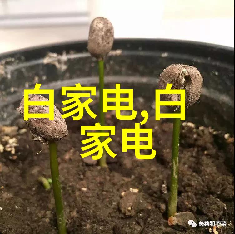 成都美居设计打造您的梦想家居空间