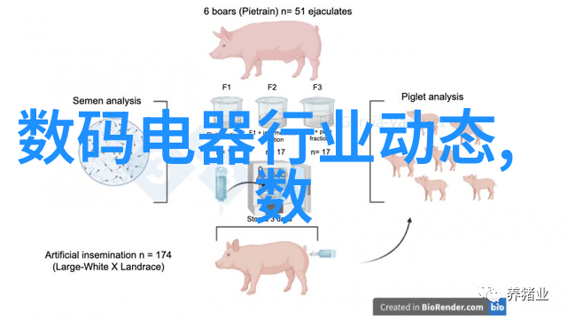 房子装修案例-现代简约风格的精致居所装饰设计