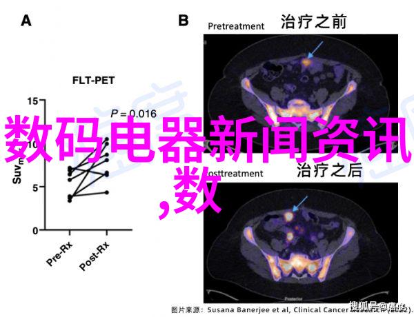 不锈钢加工厂电话-精准联系高效服务不锈钢产品定制与批发解决方案