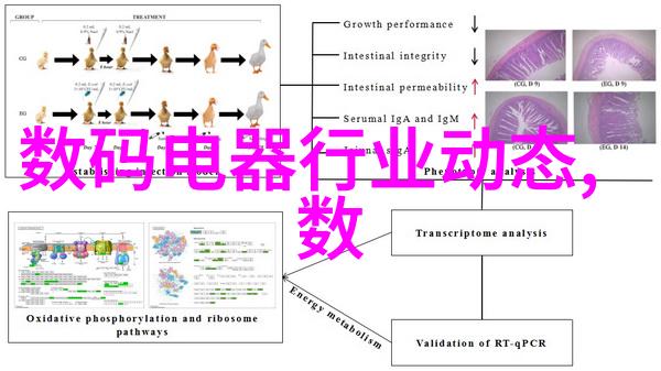 如何通过农村卫生间图片反映乡村振兴