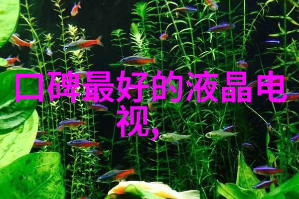 河流治理确保城市安全与可持续发展