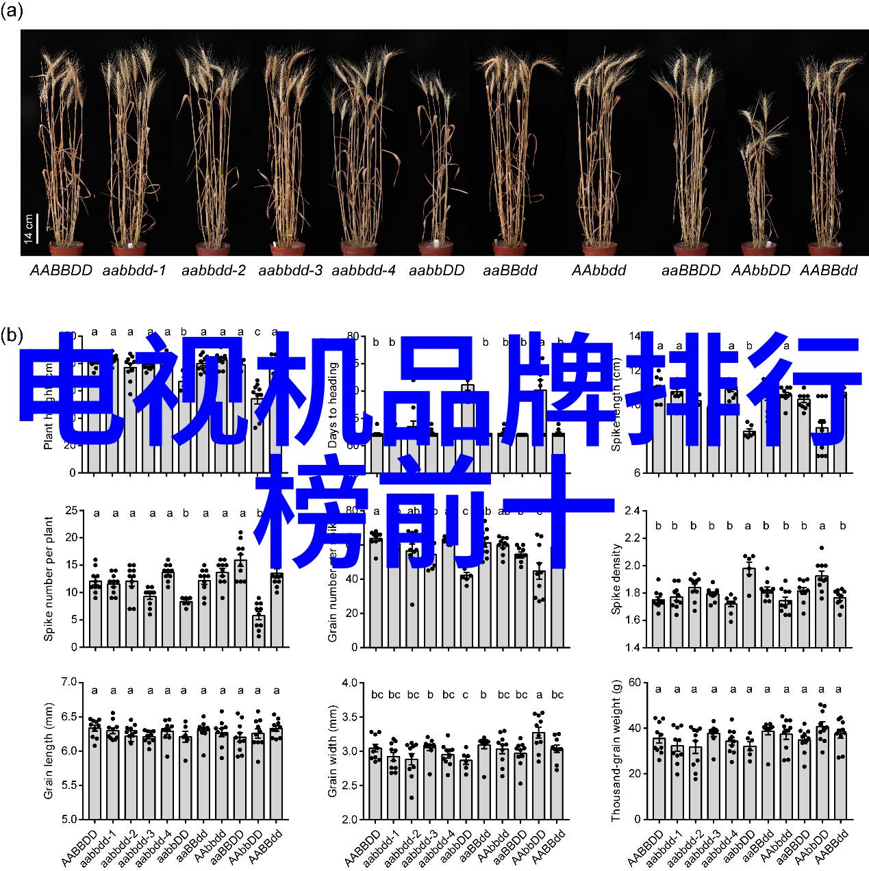 科顺防水我是怎么发现它的神奇之处的