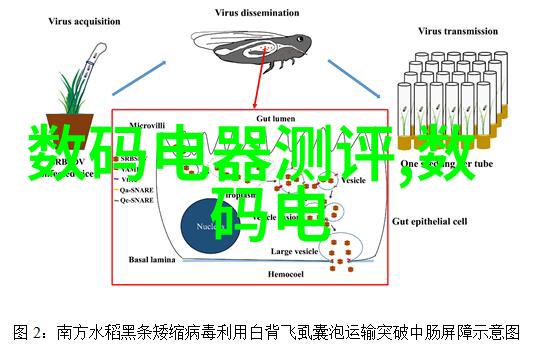 装饰心得如何让空间更有个性化