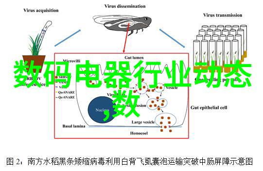 住小帮 - 小户型生活大智慧如何通过共享服务提升居住体验