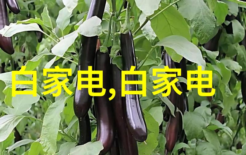 解析r是什么意思啊揭秘文字游戏背后的深意