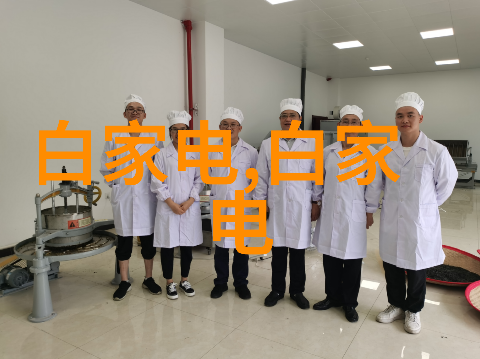 从实验室到工业化动态管式反应器在大规模生产中的应用探究