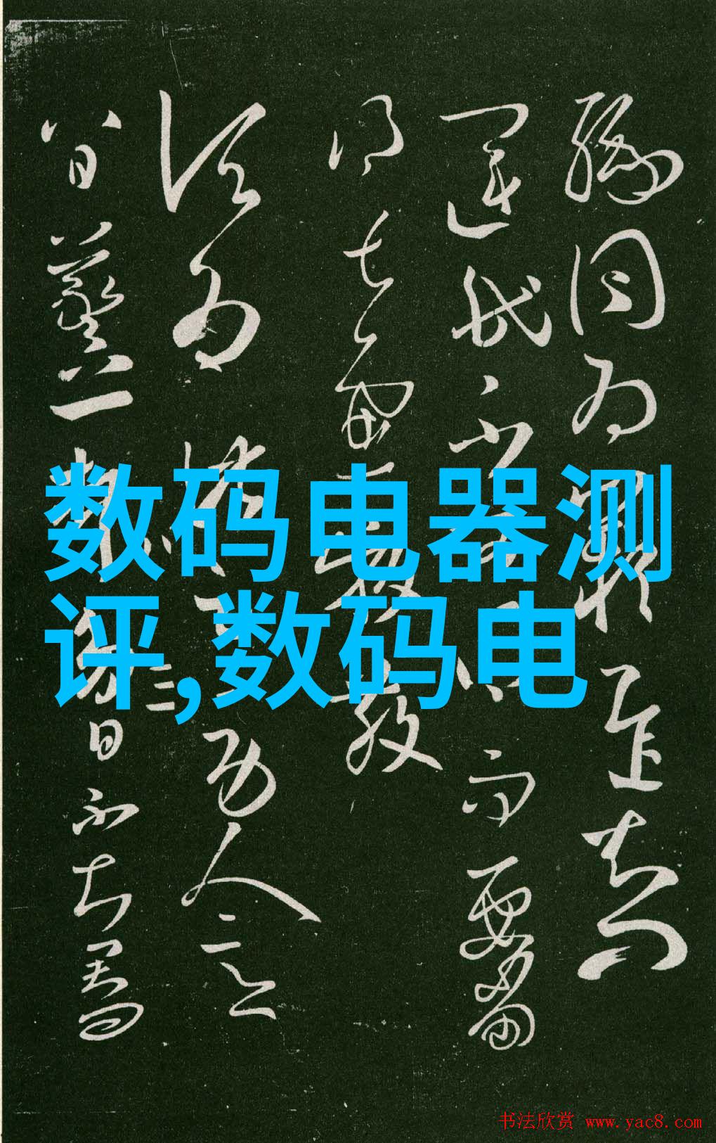 在拍摄过程中避免哪些常见错误才能拍出好看的照片