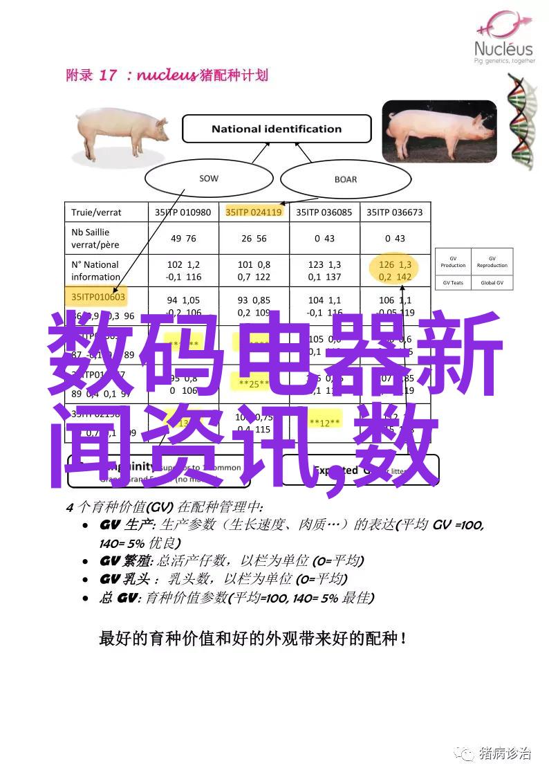 电影 我的第一部梦想之旅