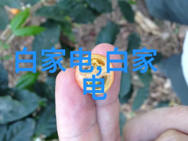 在无尽的沙漠中藏着一个秘密那些被遗忘的除尘骨架又是谁的遗迹