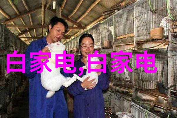 混凝土结构工程施工质量验收规范详解确保建筑安全与美观