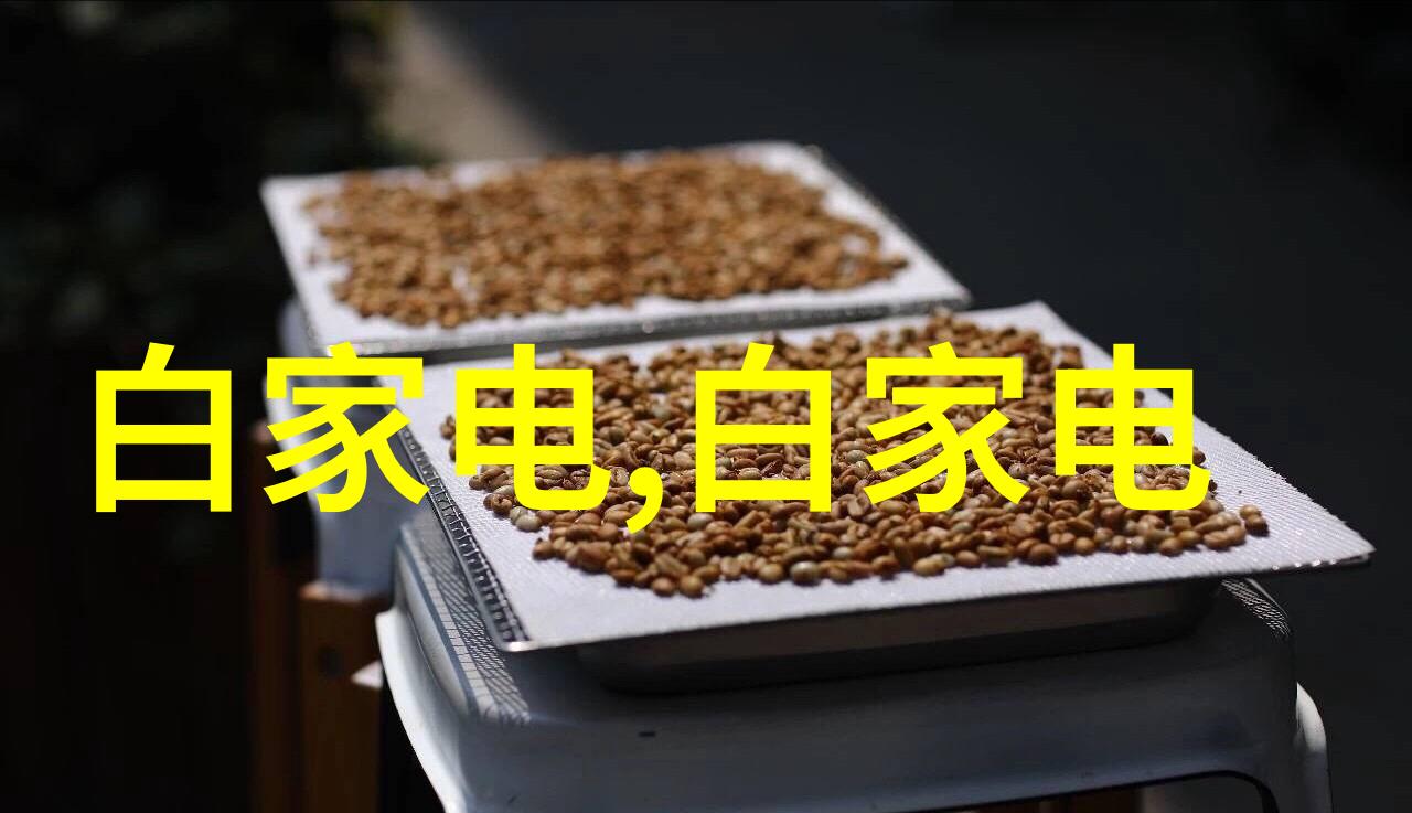 高效干燥技术在食品工业中的应用与设备设计探究