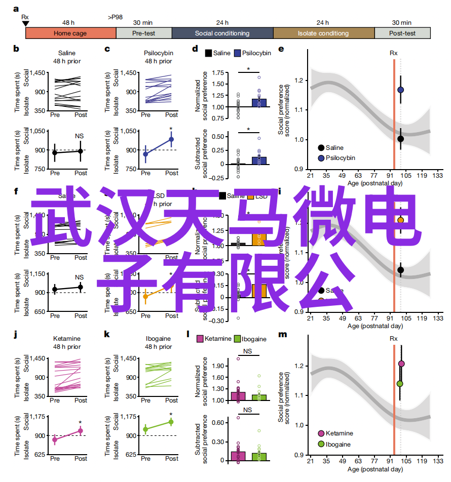 信息安全测评中心招聘人才启事