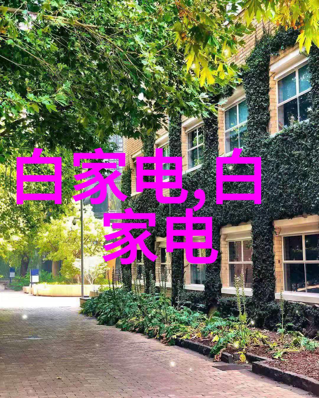 闪耀的钢铁探秘周边不锈钢建材批发市场的秘密