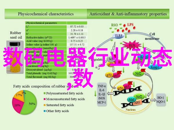 不锈钢深加工技术与应用概述精密成型表面处理与复合材料开发