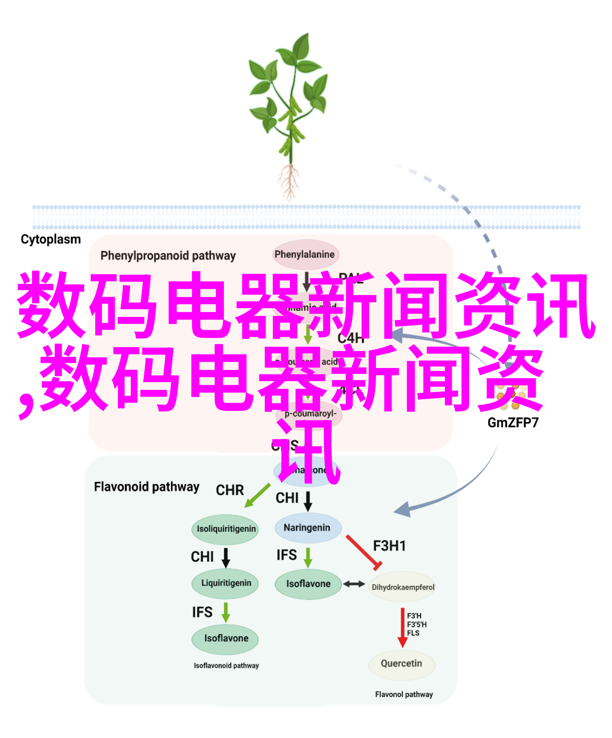 轻奢卧室