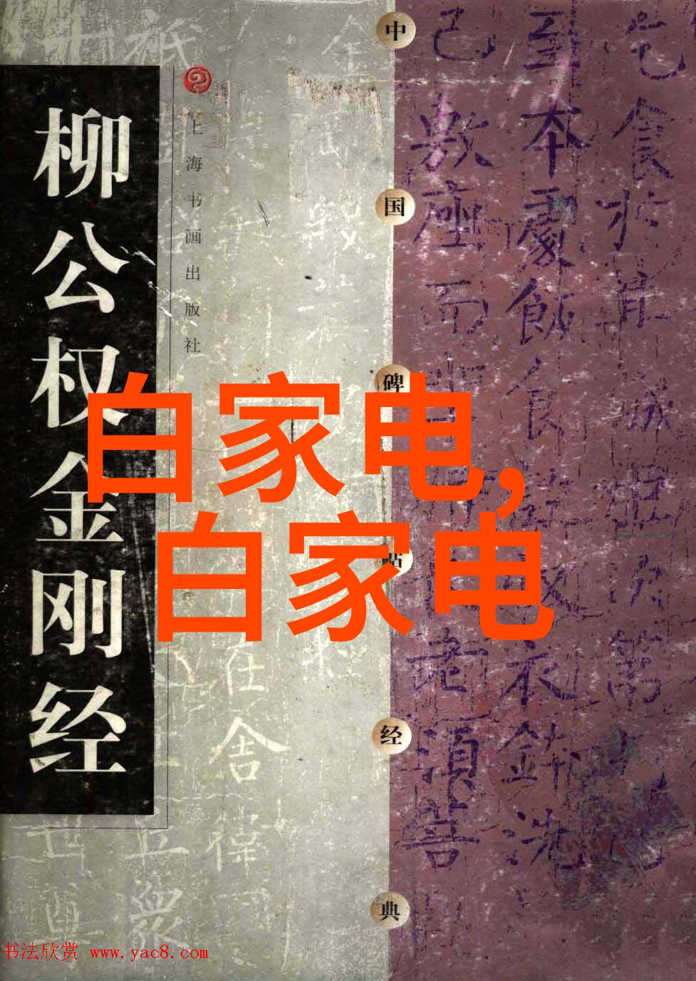 四川托普信息技术职业学院数字化梦想与传统校园的和谐共生