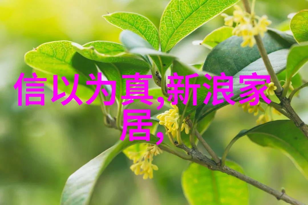 妮图网探索数字时代的视觉艺术与社区交汇点