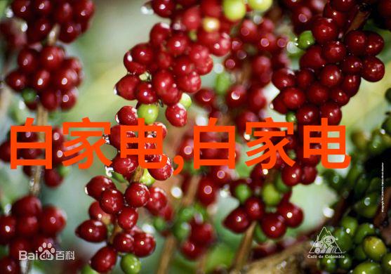 高压灭菌生物指示剂的应用与优势