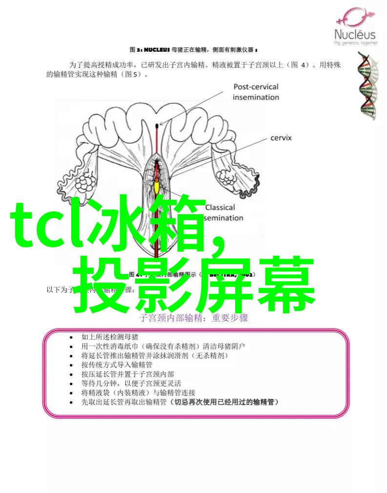 客厅窄小装修妙招探秘