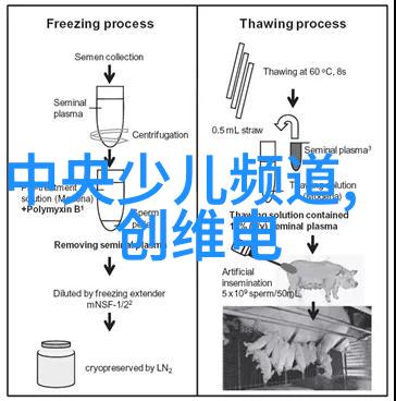 砖石编织的城市梦想