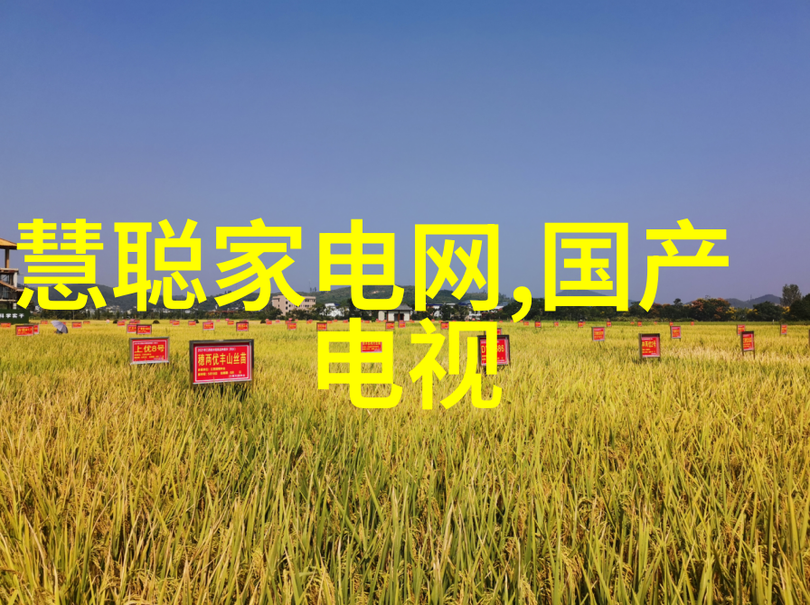 梦想住宅实用与美观并重精心打造的100平米四房一厅装修案例分析