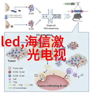 现代家居装修新材料的崛起与选择