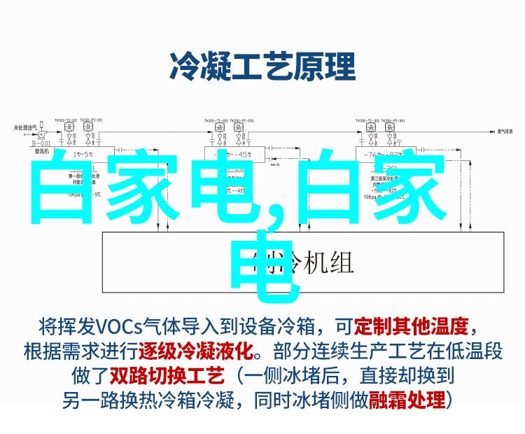 瞬间凝固的时光抓拍艺术的魅力与奥秘