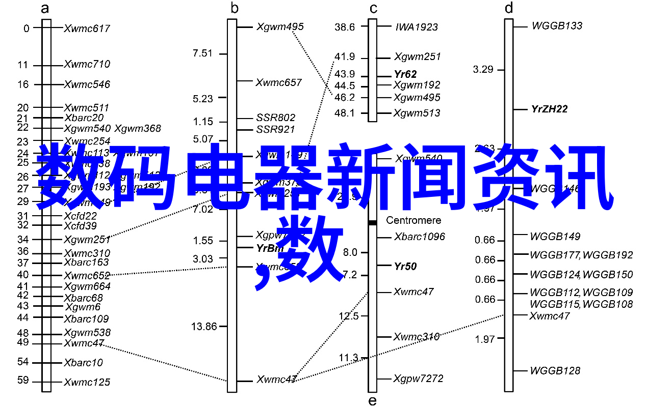 创新不止步未来可能出现的问题及其对cpvc墙板尺寸规范所需的调整