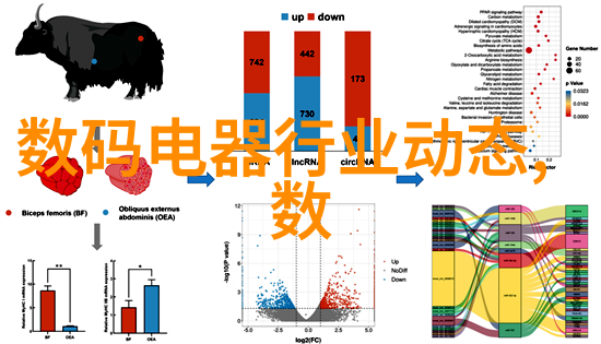 安全-保障人身财产的防线安全技术与策略的创新发展