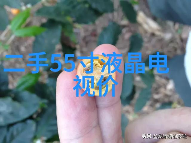 如何理解水电合同简化版的条款限制