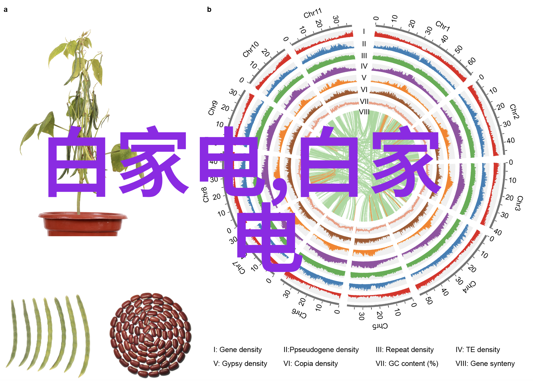 入住准备-完美居家从预订到入门的详细指南