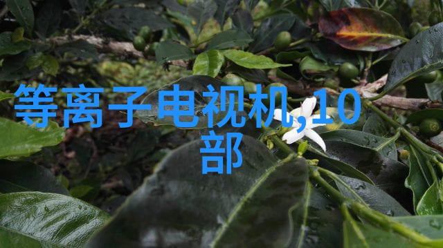 现代生活空间的新篇章无电视客厅装修实录