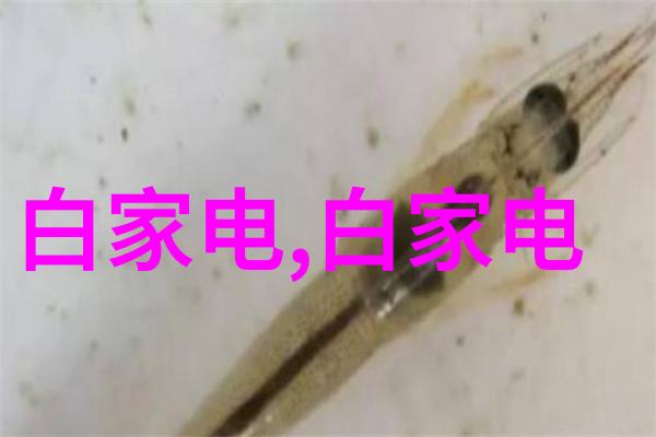 电视屏幕尺寸详解长宽比例与视觉体验