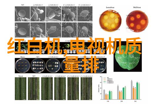 电气工程及其自动化智能技术的驱动力与未来展望