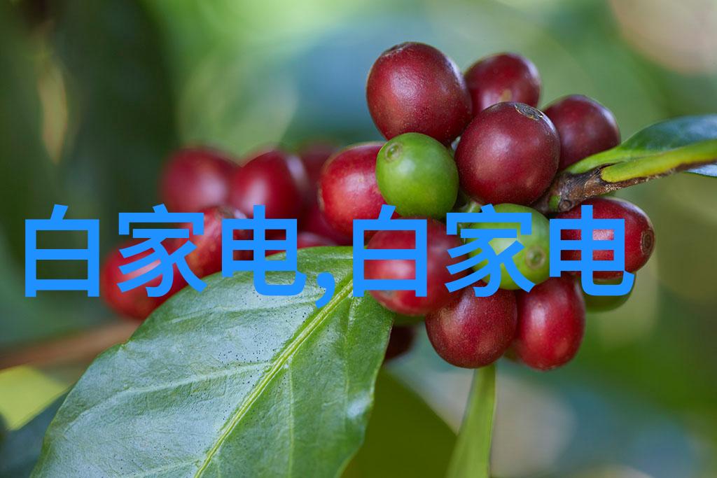 水电承包合同范本-精确构建水电工程合作关系的标准之作