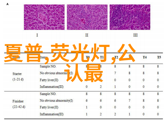 信用家我是如何在网上借钱还清的故事